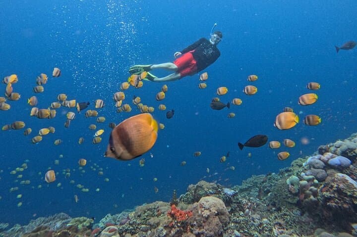 Bali: Nusa Lembongan Snorkeling-Island Tour Daytrip-All Inclusive — photo 1 of 28