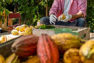 [ALL INCLUSIVE] North Bali's Hidden Treasure Private Tour
