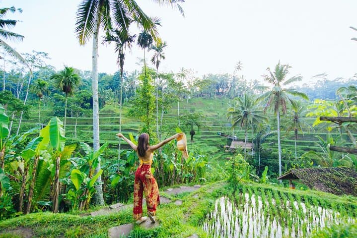 Ubud: Waterfall, Rice Terraces, and Monkey Forest Private Tour — photo 1 of 13