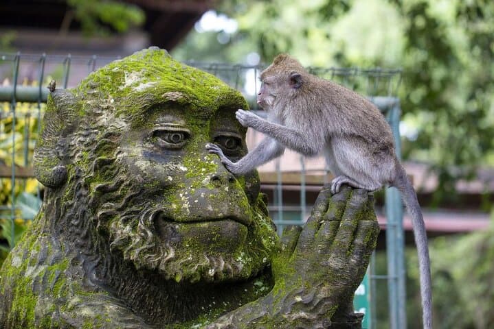 Private Ubud Highlights Tour – Custom 6hr Sightseeing with Guide — photo 1 of 11