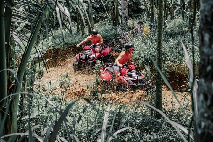 Ubud ATV Quad Bike with Gorilla Cave and Rice Terrace — photo 1 of 7