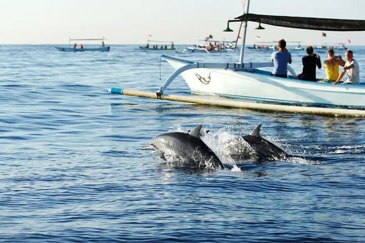 Northern Bali: Dolphin Watching and Snorkeling Experience — photo 1 of 5