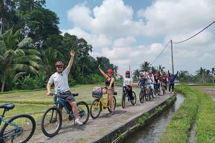 Explore Rice Fields and Hidden Villages with Ubud E-Bike Tour — photo 1 of 6
