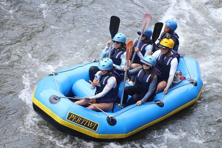 Bali Water Rafting and Bali Swing - All Inclusive — photo 1 of 7