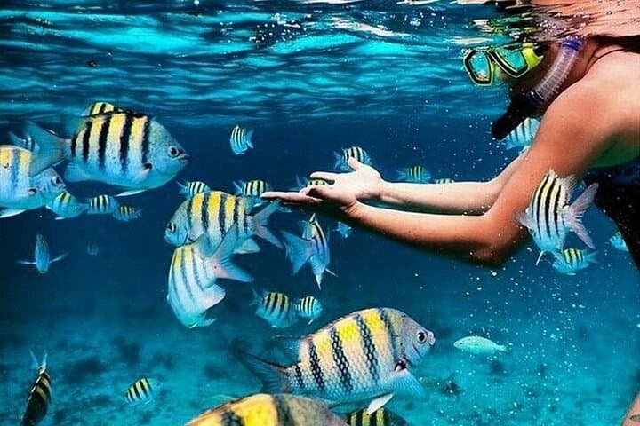 Bali Blue Lagoon Snorkeling with Waterfalls Tour - all included — photo 1 of 21