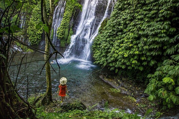 Most Beautiful Waterfall: Banyumala Waterfall — photo 1 of 5