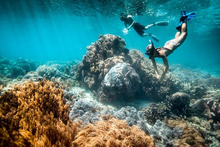All Inclusive Bali Blue Lagoon and Tanjung Jepun Snorkeling — photo 1 of 19