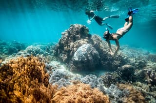 All Inclusive Bali Blue Lagoon and Tanjung Jepun Snorkeling