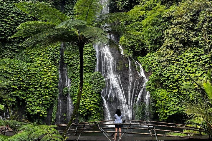 North Bali Ulundanu Temple, Handara Gate , Waterfall — photo 1 of 10
