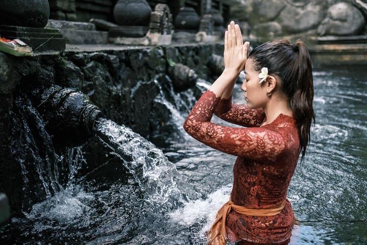 Ubud Monkey Forest Water Temple Waterfall and Rice Terrace — photo 1 of 15