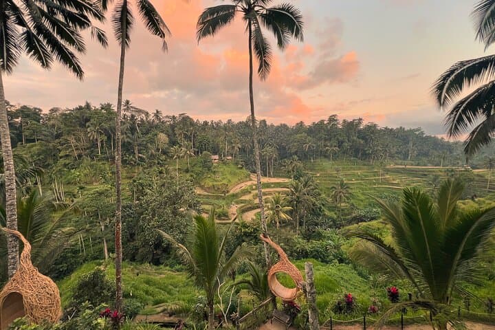 All Inclusive Ubud Tour — photo 1 of 7