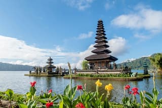 Explore North Bali (Temple, Waterfall, Rice Terrace)