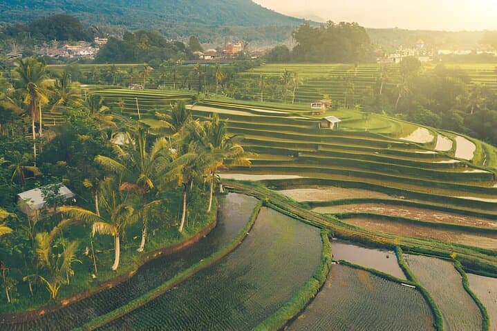Jatiluwih Rice Terrace | Waterfall | Private Driver Experience — photo 1 of 23