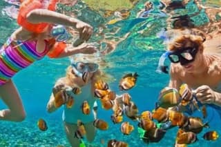 Bali Blue Lagoon Snorkeling and Waterfall Tour