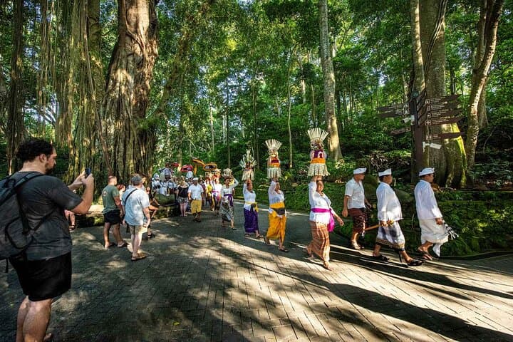 Explore Ubud Rice Terraces, Waterfalls & Balinese Culture — photo 1 of 25