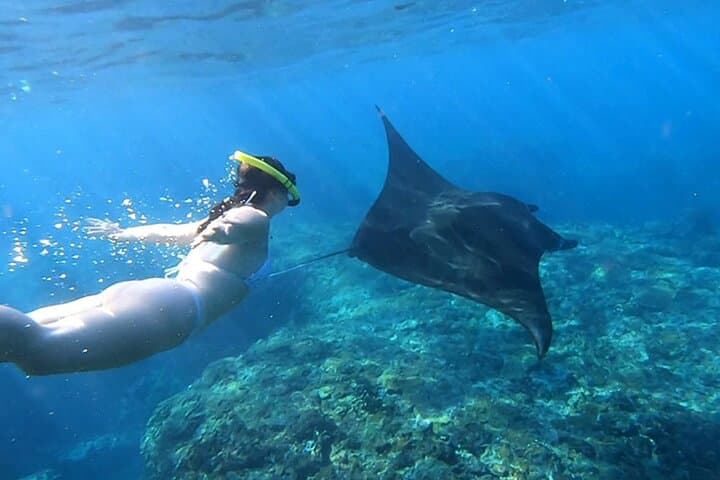 Nusa Penida Snorkeling with Manta Bay and Land Tour — photo 1 of 32