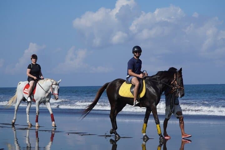 Saba Beach Horse Riding Experience — photo 1 of 9