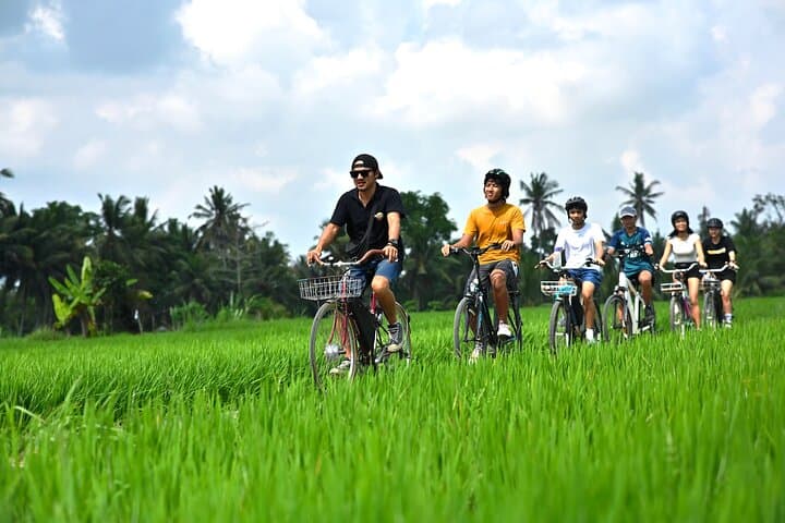 Bali’s Hidden Rivers & Fields: Private E-Bike Village Tour — photo 1 of 11