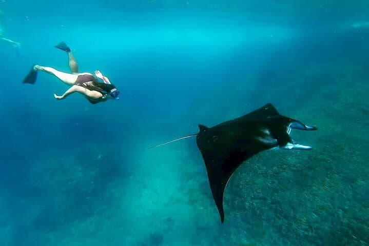Nusa Penida Island West Snorkeling With Manta Rays — photo 1 of 6