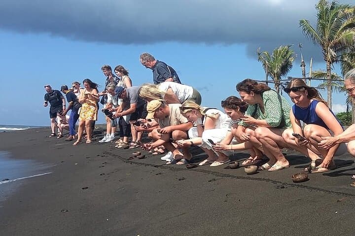 Bali Horse Riding and Turtle Release at Saba Beach — photo 1 of 10