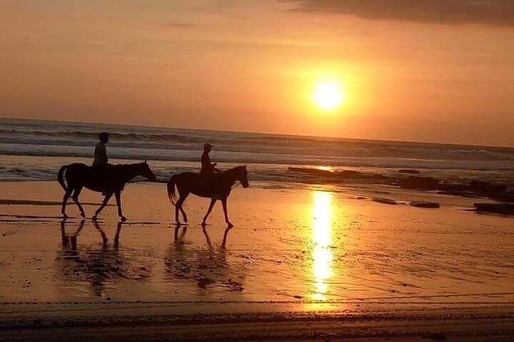 Horse Riding Bali On pigstone beach, Rice Field and village Tour — photo 1 of 9