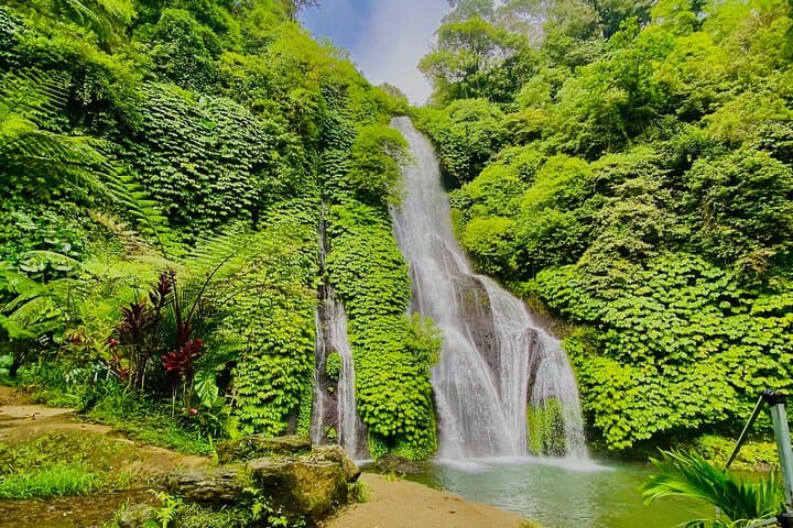 Explore Munduk Customized 8 Hour Day Tour in North Bali — photo 1 of 18