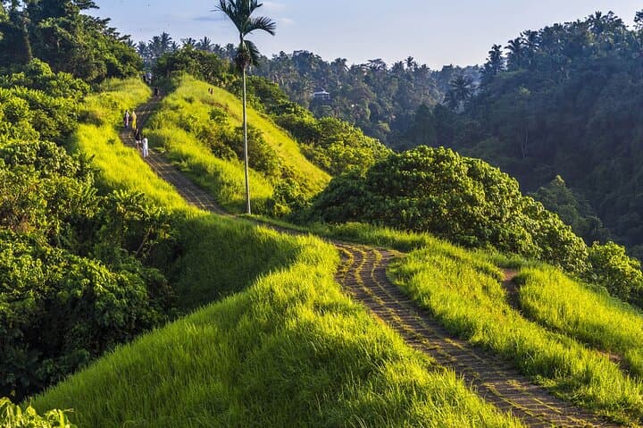 Ubud Story Walking Tour by Spanish, Japanese, English Guide — photo 1 of 10