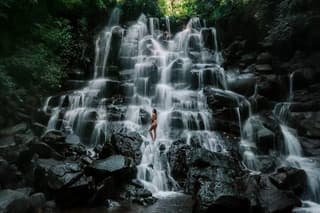 Bali Ubud Tour Monkey Forest, Waterfall, Temple & Rice Terrace