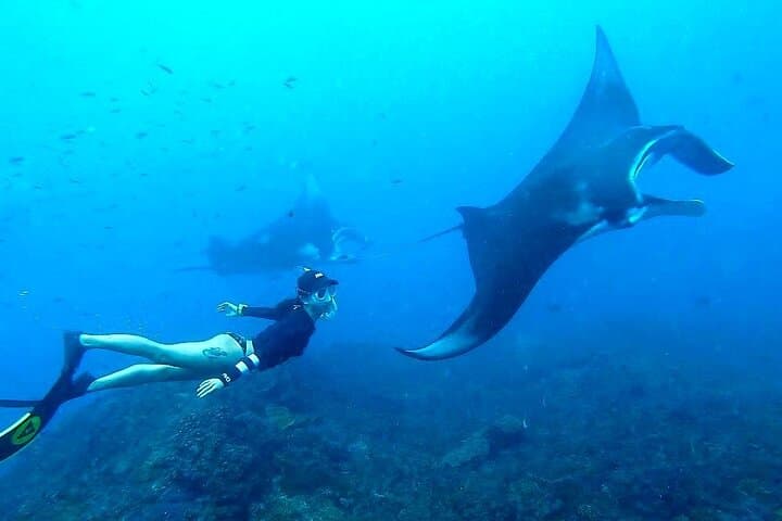 All-Inclusive Bali to Nusa Penida Tour and Manta Snorkeling — photo 1 of 7