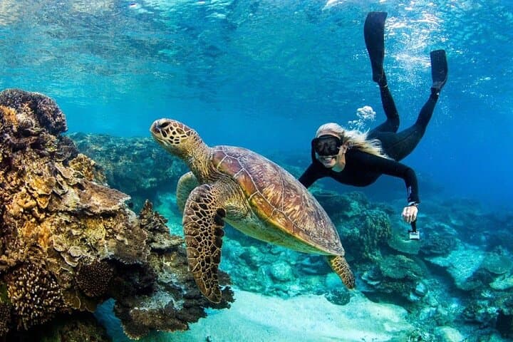 Bali Blue Lagoon Snorkeling with Ubud Tropical River Pool Bar — photo 1 of 26