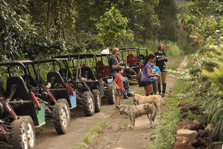 Bali Eco Off-Road Adventure to Munduk — photo 1 of 9