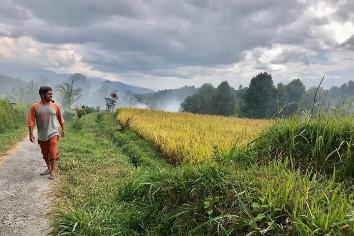 Banjar Munduk Private Bali Tour — photo 1 of 8
