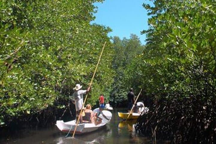 Mangrove Tour Nusa Lembongan Full Day Island Experience — photo 1 of 5