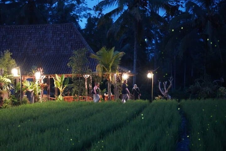 Ubud: Balinese Village Life, Organic Farm Dinner and Firefly Tour — photo 1 of 8