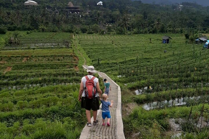 Sidemen Trekking Through Rice Terraces and Villages — photo 1 of 10