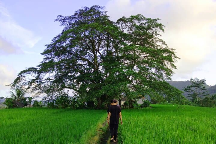 Sidemen Trekking with Cultural Encounters and Nature Views — photo 1 of 18