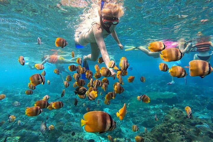 Explore 4 iconic snorkeling spots of Manta Bay in Nusa Penida — photo 1 of 19