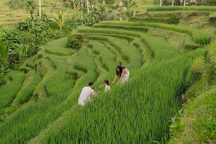 Private Customize Ubud Day Tour With Experienced Driver — photo 1 of 44