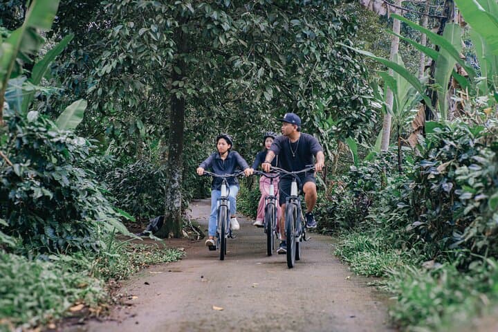 biking through villages and jungle in north ubud — photo 1 of 21
