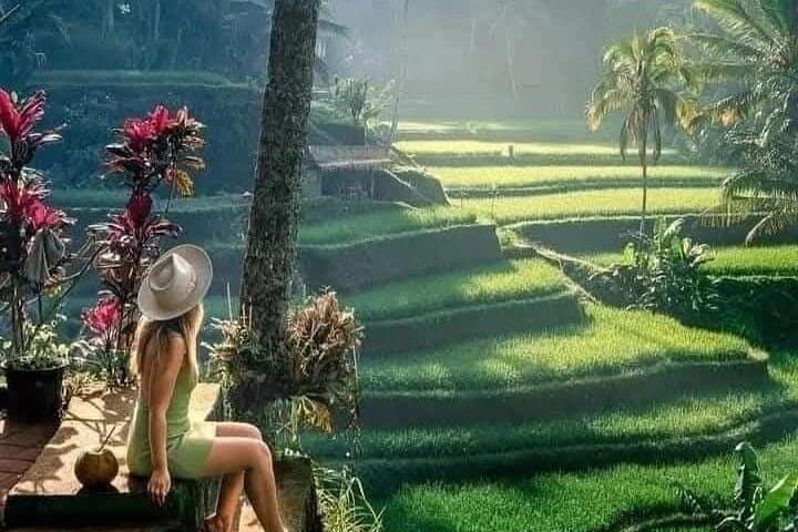 Best of Ubud Sightseeing Private All Inclusive Tour — photo 1 of 29