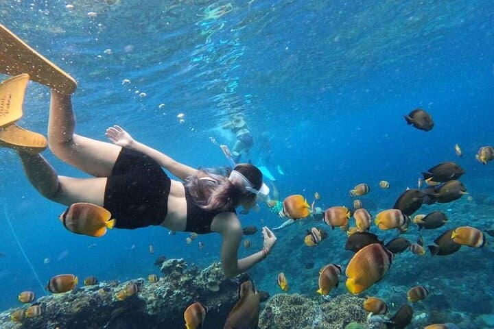 Bali Snorkeling at Blue Lagoon Beach with All-Inclusive Tour — photo 1 of 27