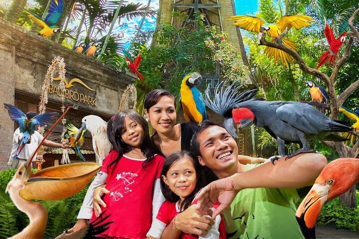 Bali Bird Park Admission Pass — photo 1 of 8