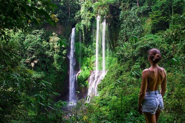 North Bali Tour with Twin Waterfalls and Temple — photo 1 of 15
