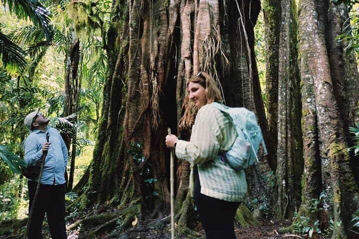 Tamblingan Jungle Trekking All-Inclusive: Hikes & Canoe Adventure — photo 1 of 19