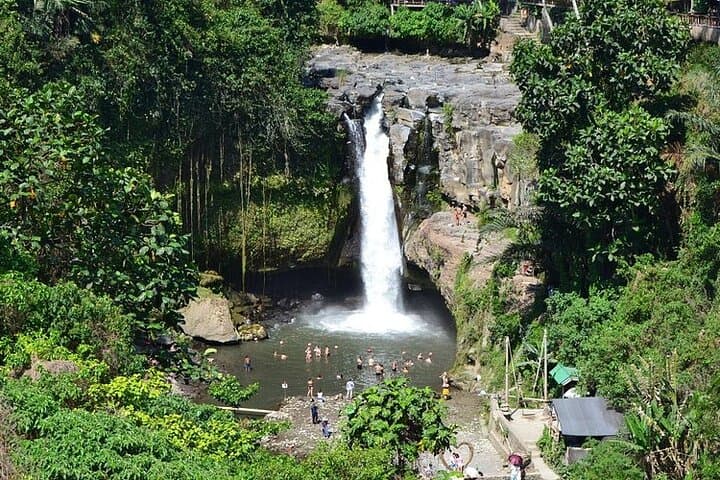 Ubud Full Day Exursion-All Inclusive — photo 1 of 8