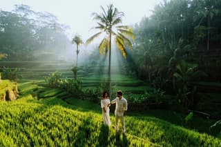 Private Tour Guide - Ubud Rice Terraces Temple & Waterfall
