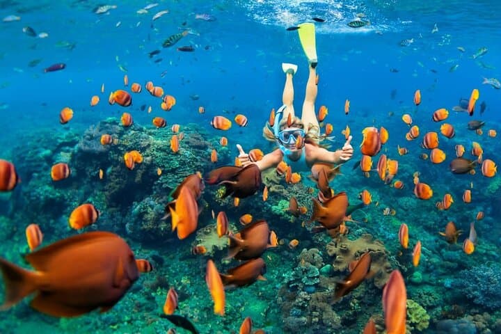 (ALL- IN) Bali Snorkeling Blue Lagoon And Tanjung Jepun — photo 1 of 8