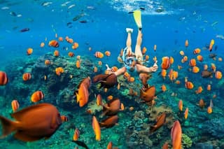 (ALL- IN) Bali Snorkeling Blue Lagoon And Tanjung Jepun