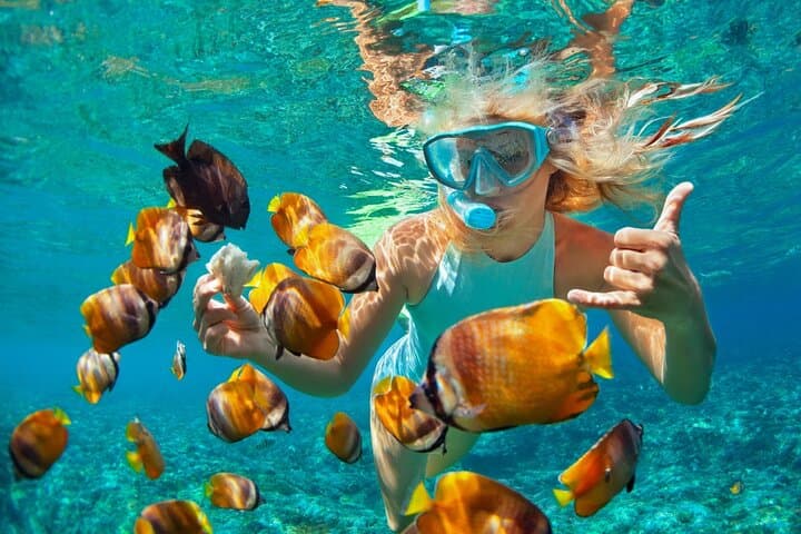 From Sanur or Ubud: Snorkeling at Blue Lagoon by Group Transfers — photo 1 of 8