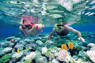 Nusa Penida Snorkeling Adventure